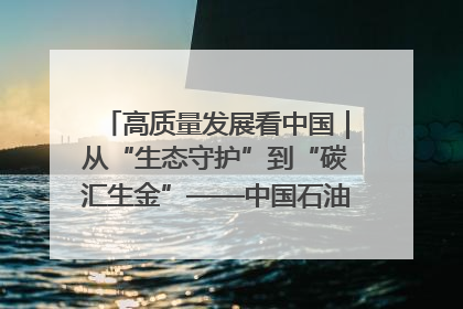 高质量发展看中国｜从“生态守护”到“碳汇生金”——中国石油大庆油田绿色蝶变
