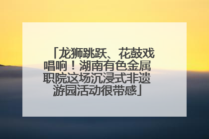 龙狮跳跃、花鼓戏唱响！湖南有色金属职院这场沉浸式非遗游园活动很带感