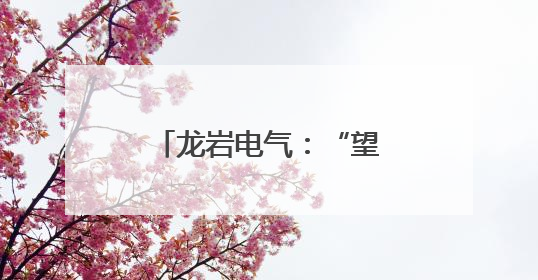 龙岩电气：“望闻问切”查隐患 精检精修保安全
