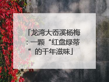 龙湾大岙溪杨梅：一颗“红盘绿蒂”的千年滋味