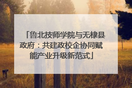 鲁北技师学院与无棣县政府：共建政校企协同赋能产业升级新范式