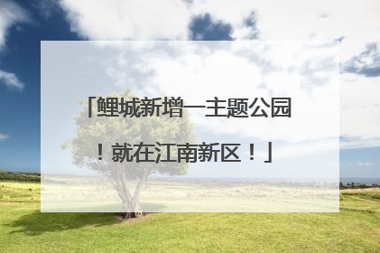 鲤城新增一主题公园！就在江南新区！