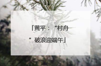 黄平：“村舟”破浪迎端午