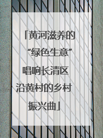黄河滋养的“绿色生意” 唱响长清区沿黄村的乡村振兴曲