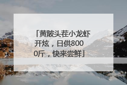黄陂头茬小龙虾开炫，日供8000斤，快来尝鲜