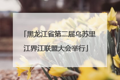 黑龙江省第二届乌苏里江界江联盟大会举行