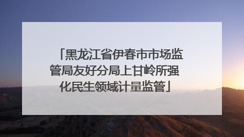 黑龙江省伊春市市场监管局友好分局上甘岭所强化民生领域计量监管