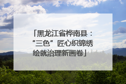 黑龙江省桦南县：“三色”匠心织锦绣 绘就治理新画卷