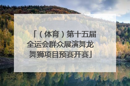 （体育）第十五届全运会群众展演舞龙舞狮项目预赛开赛