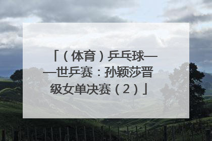 （体育）乒乓球——世乒赛：孙颖莎晋级女单决赛（2）