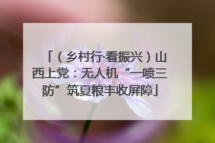 （乡村行·看振兴）山西上党：无人机“一喷三防”筑夏粮丰收屏障