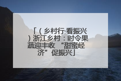 （乡村行·看振兴）浙江乡村：时令果蔬迎丰收 “甜蜜经济”促振兴