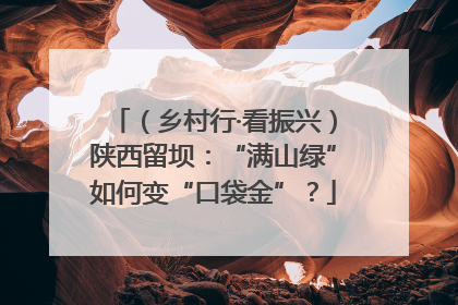 （乡村行·看振兴）陕西留坝：“满山绿”如何变“口袋金”？