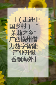（走进中国乡村）“茉莉之乡”广西横州借力数字智能 产业升级香飘海外
