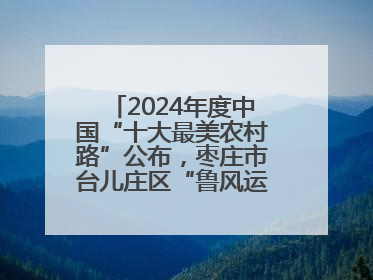 2024年度中国“十大最美农村路”公布，枣庄市台儿庄区“鲁风运河”古城文化廊道上榜！