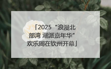 2025“浪漫北部湾 潮派嘉年华”欢乐周在钦州开幕