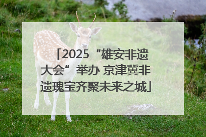 2025“雄安非遗大会”举办 京津冀非遗瑰宝齐聚未来之城