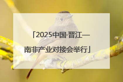 2025中国·晋江—南非产业对接会举行