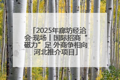 2025年廊坊经洽会·现场丨国际招商“磁力”足 外商争相向河北推介项目