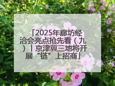 2025年廊坊经洽会亮点抢先看（九）丨京津冀三地将开展“链”上招商