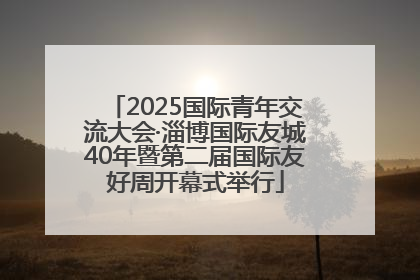 2025国际青年交流大会·淄博国际友城40年暨第二届国际友好周开幕式举行