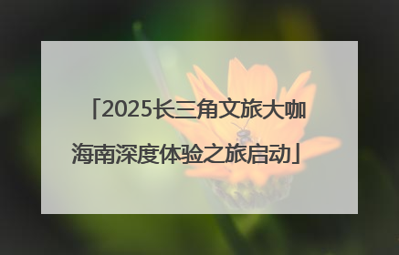 2025长三角文旅大咖海南深度体验之旅启动