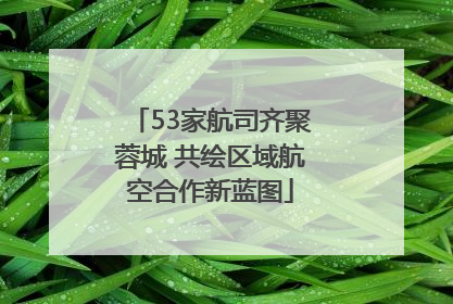 53家航司齐聚蓉城 共绘区域航空合作新蓝图
