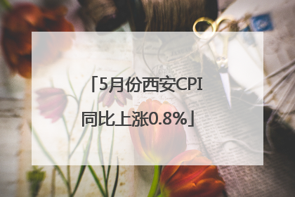 5月份西安CPI同比上涨0.8%