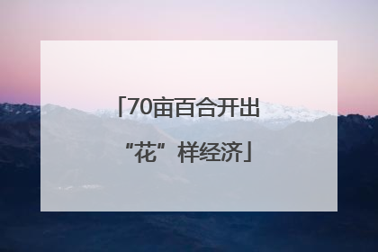 70亩百合开出“花”样经济