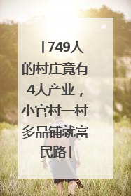 749人的村庄竟有4大产业，小官村一村多品铺就富民路