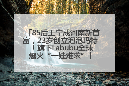 85后王宁成河南新首富，23岁创立泡泡玛特！旗下Labubu全球爆火“一娃难求”