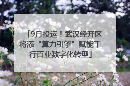 9月投运！武汉经开区将添“算力引擎”赋能千行百业数字化转型