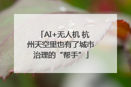 AI+无人机 杭州天空里也有了城市治理的“帮手”