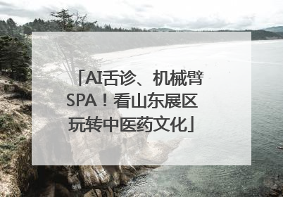 AI舌诊、机械臂SPA！看山东展区玩转中医药文化