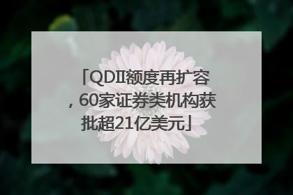 QDII额度再扩容，60家证券类机构获批超21亿美元